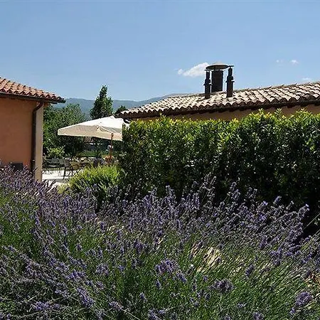 Casco Dell'acqua *